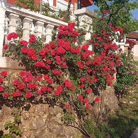 Woodstone Apartman Podgorica Zewnętrze zdjęcie