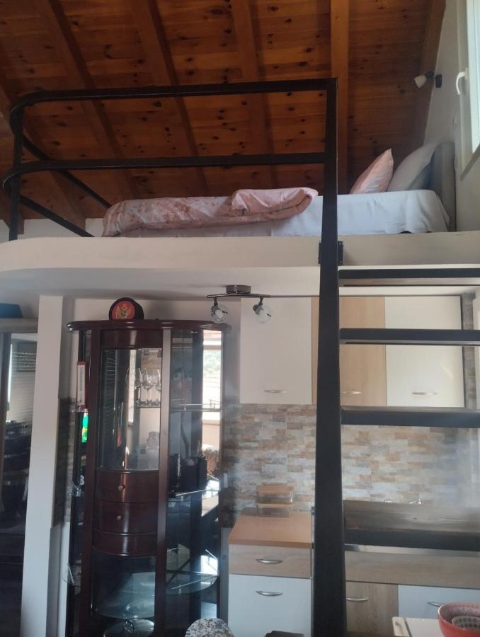 Woodstone Apartman Podgorica Zewnętrze zdjęcie
